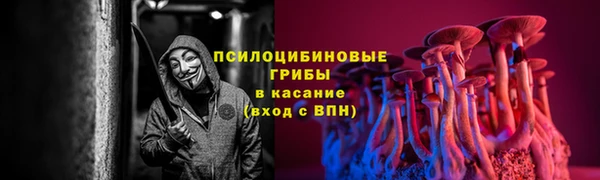 jwh Алзамай