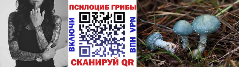 Галлюциногенные грибы Psilocybe kraken сайт Комсомольск наркошоп